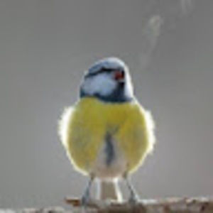 Meet your Posher, Daniella